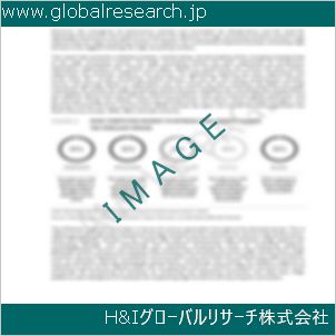 グローバルリサーチ調査資料のイメージ